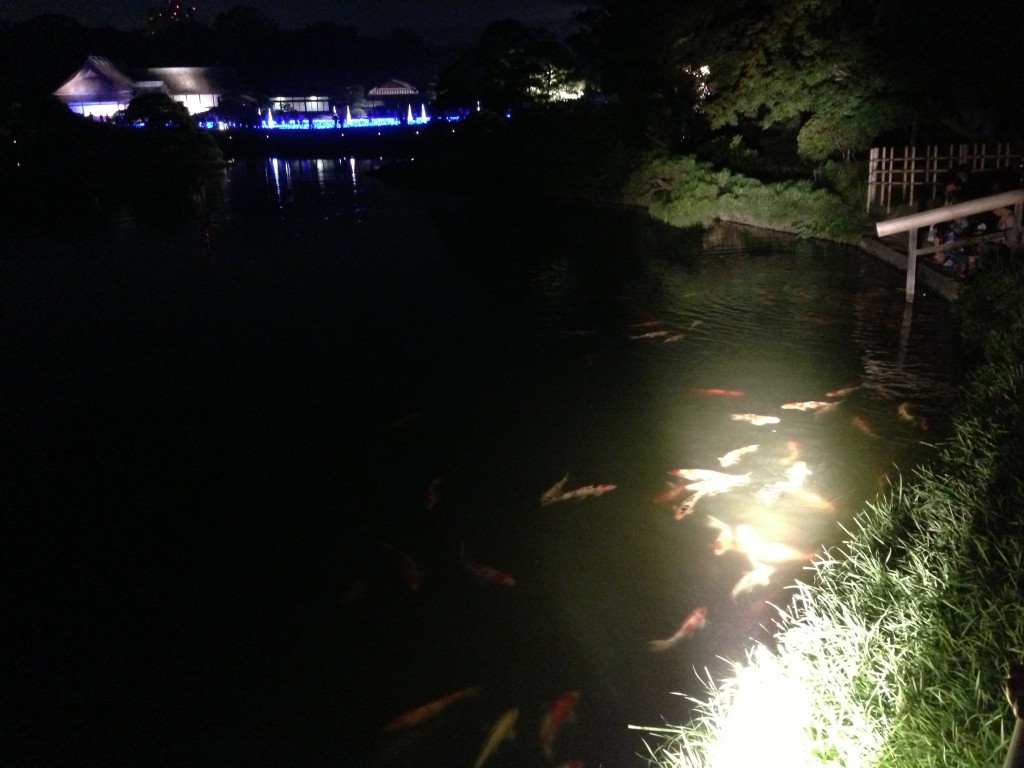 幻想庭園ライトアップされた鯉