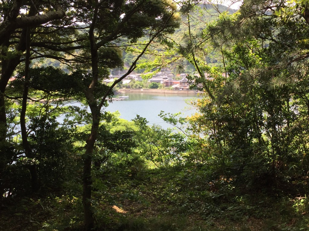 青海島の景色が見えます。